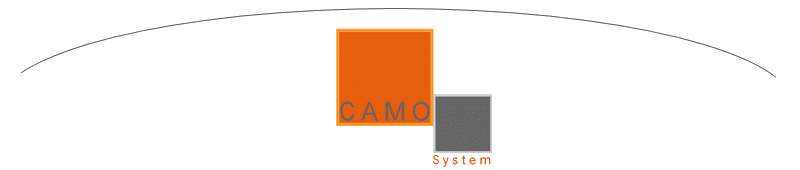 Banni&egrave;re Camo System